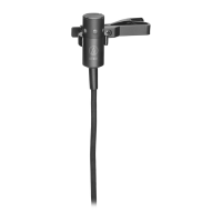 Preview: Audio Technica AT831b