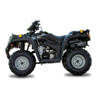 Preview: ATV 250 ATV