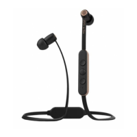 Preview: Jays a-Six Wireless