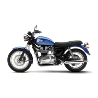 Preview: Triumph Bonneville T100 Series