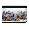 Aquariums Logo
