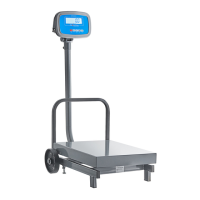 Preview: AVA WEIGH 334FS500TW