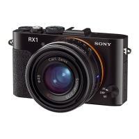 Preview: Sony DSC-RX1