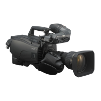 Preview: Sony HDC4300