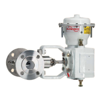 Preview: Flowserve Valtek MaxFlo 3
