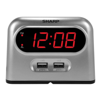 Preview: Sharp SPC189
