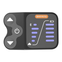 Preview: BAFANG DP E12.UART