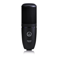 Preview: AKG PERCEPTION 120 USB