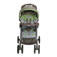 Preview: Graco Spree