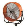 Fan Logo