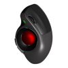 Mouse Logo