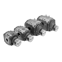 Preview: Elster Instromet RABO G65