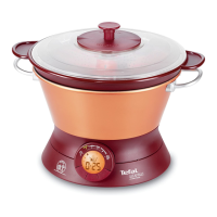 Preview: TEFAL Vitafruit MJ701134