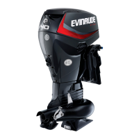 Preview: EVINRUDE E-TEC E40DRLAA Series