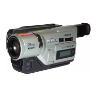 Preview: Sony DCR-TRV320