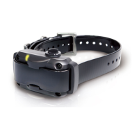 Preview: Dogtra YS600