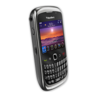 Preview: Blackberry Curve 9300