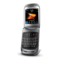 Preview: Blackberry Style 9670