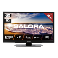 Preview: Salora 22LED9109CTS2DVDWIFI