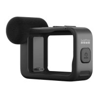 Preview: GoPro Media Mod