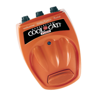 Preview: Cool Cat! CF-2 FUZZ