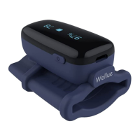 Preview: Wellue PO6