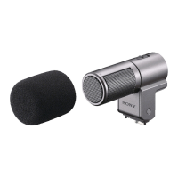 Preview: Sony ECM-SST1