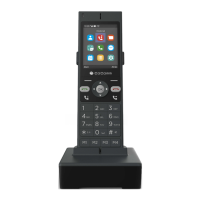 Preview: CoComm DT200