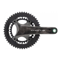 Preview: CAMPAGNOLO 12s