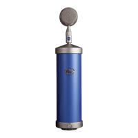 Preview: Blue Microphones Bottle