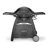 Preview: Weber Q3200