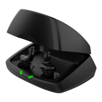 Preview: Starkey ITE R