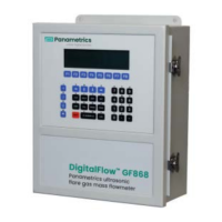 Preview: Panametrics DigitalFlow GF868