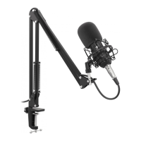 Preview: Genesis Radium 400