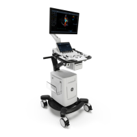 Preview: GE Vivid T8