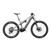 Preview: Canyon Pedelec