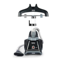 Preview: TEFAL MINUTE STEAM