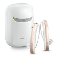 Preview: signia Xperience Styletto X