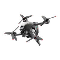 Preview: dji FPV
