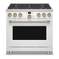 Preview: Cafe CGY366