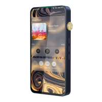 Preview: iBasso Audio DX300
