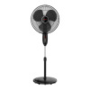 Fan Logo
