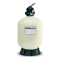 Preview: Pentair Sand Dollar Filter