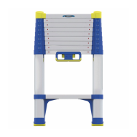 Preview: Telescopic Soft Close Extension Ladder