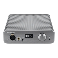 Preview: Burson Soloist 3X Performance