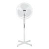 Fan Logo