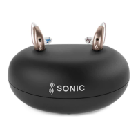 Preview: Sonic miniRITE T R