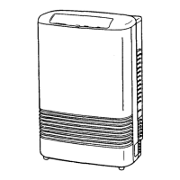 Preview: Rinnai RHFE-308FTR
