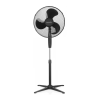 Fan Logo