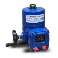 Preview: Flowserve Limitorque LTQ008